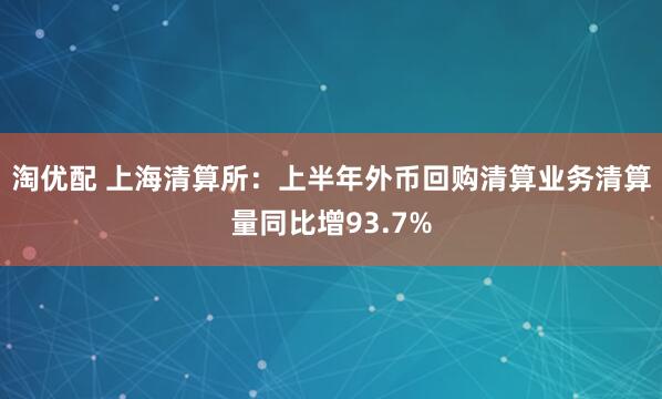 淘优配 上海清算所：上半年外币回购清算业务清算量同比增93.7%