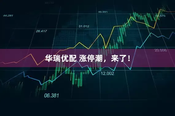 华瑞优配 涨停潮，来了！
