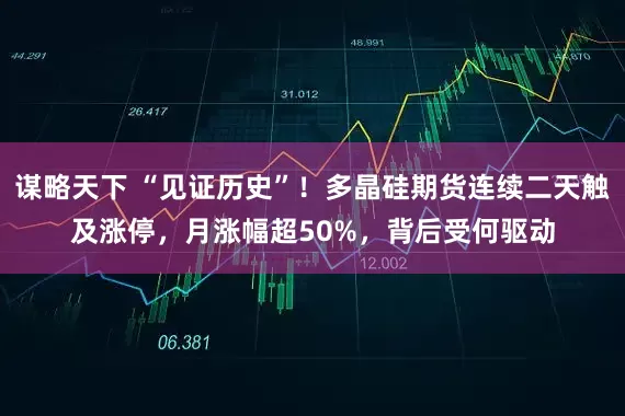 谋略天下 “见证历史”！多晶硅期货连续二天触及涨停，月涨幅超50%，背后受何驱动
