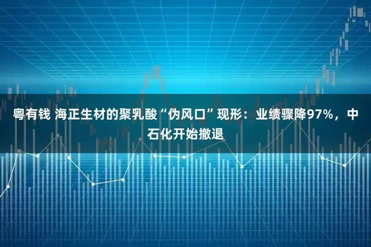 粤有钱 海正生材的聚乳酸“伪风口”现形：业绩骤降97%，中石化开始撤退